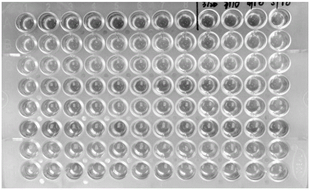 Improved erythrocyte osmotic fragility detection method