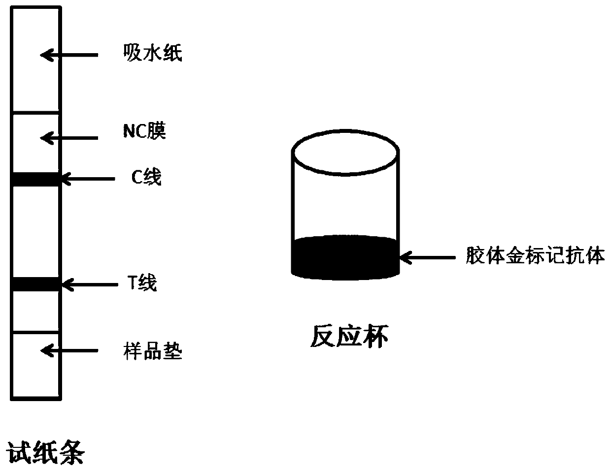 A colloidal gold rapid detection test device for pyrazolone antipyretic and analgesic drugs, its preparation method and application