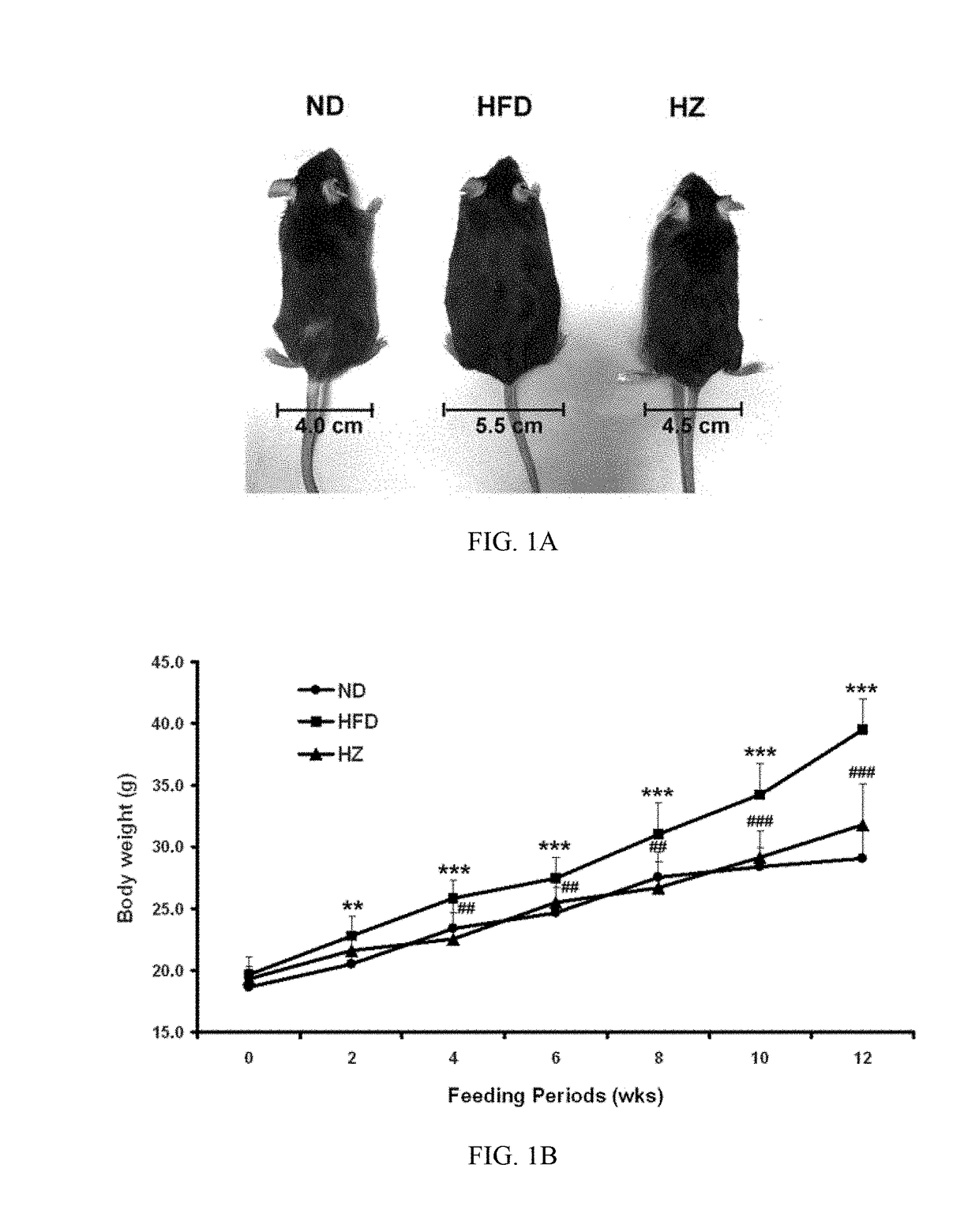 Use of helminthostachys zeylanica, ugonins or flavone-based compounds for the treatment or prevention of metabolic diseases