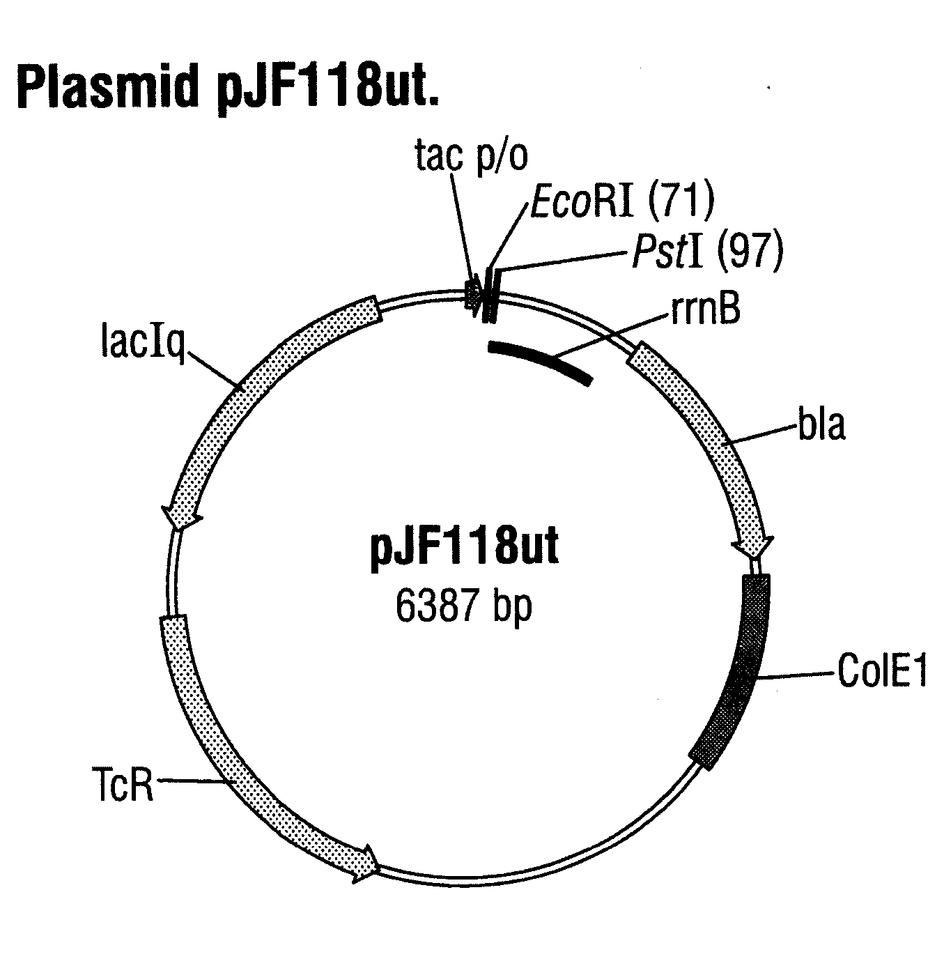 Signal peptide for the production of recombinant proteins