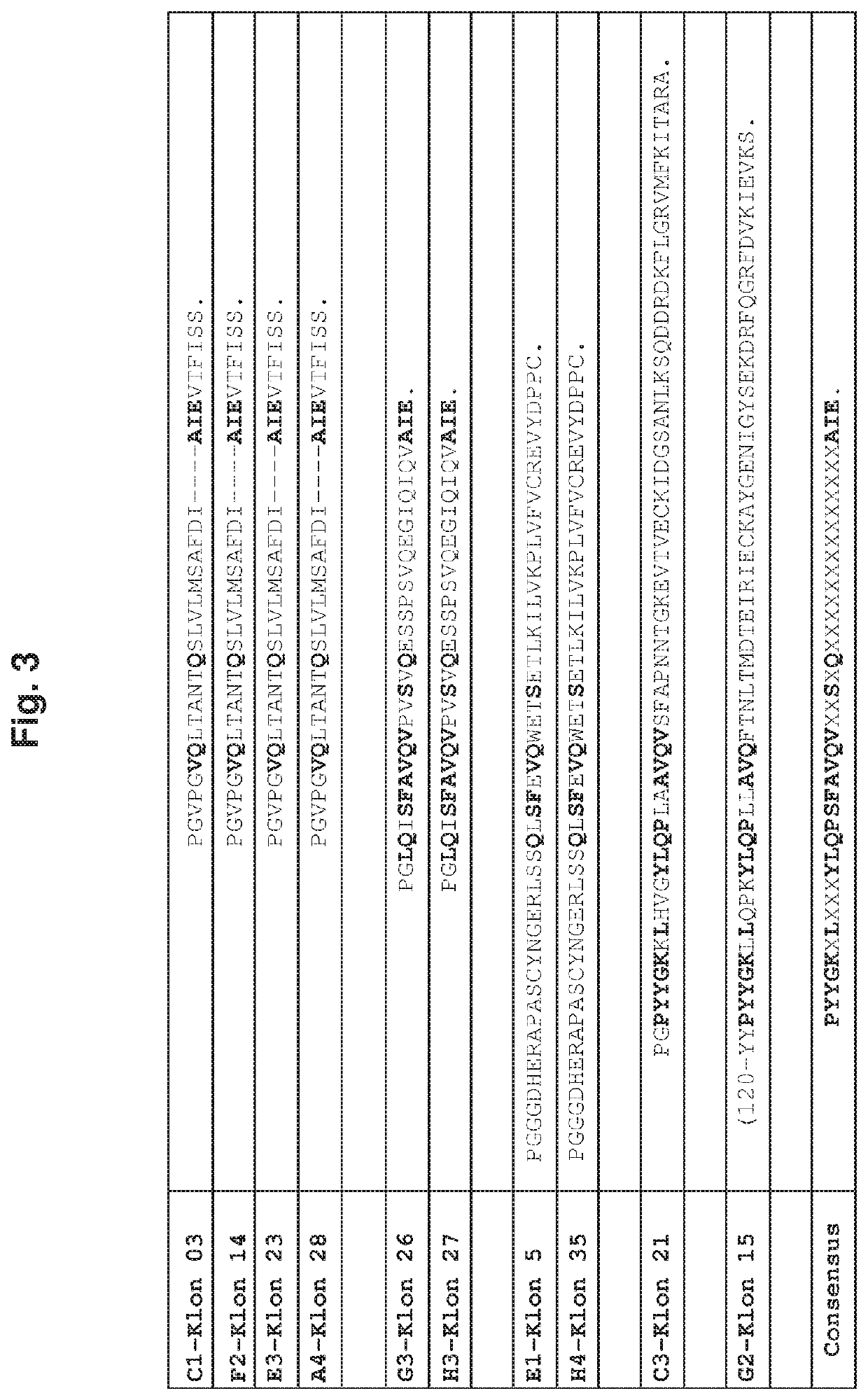 Cd44 binding peptides