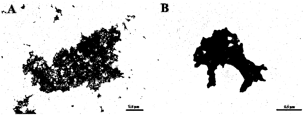 Threonine dehydratase and application thereof