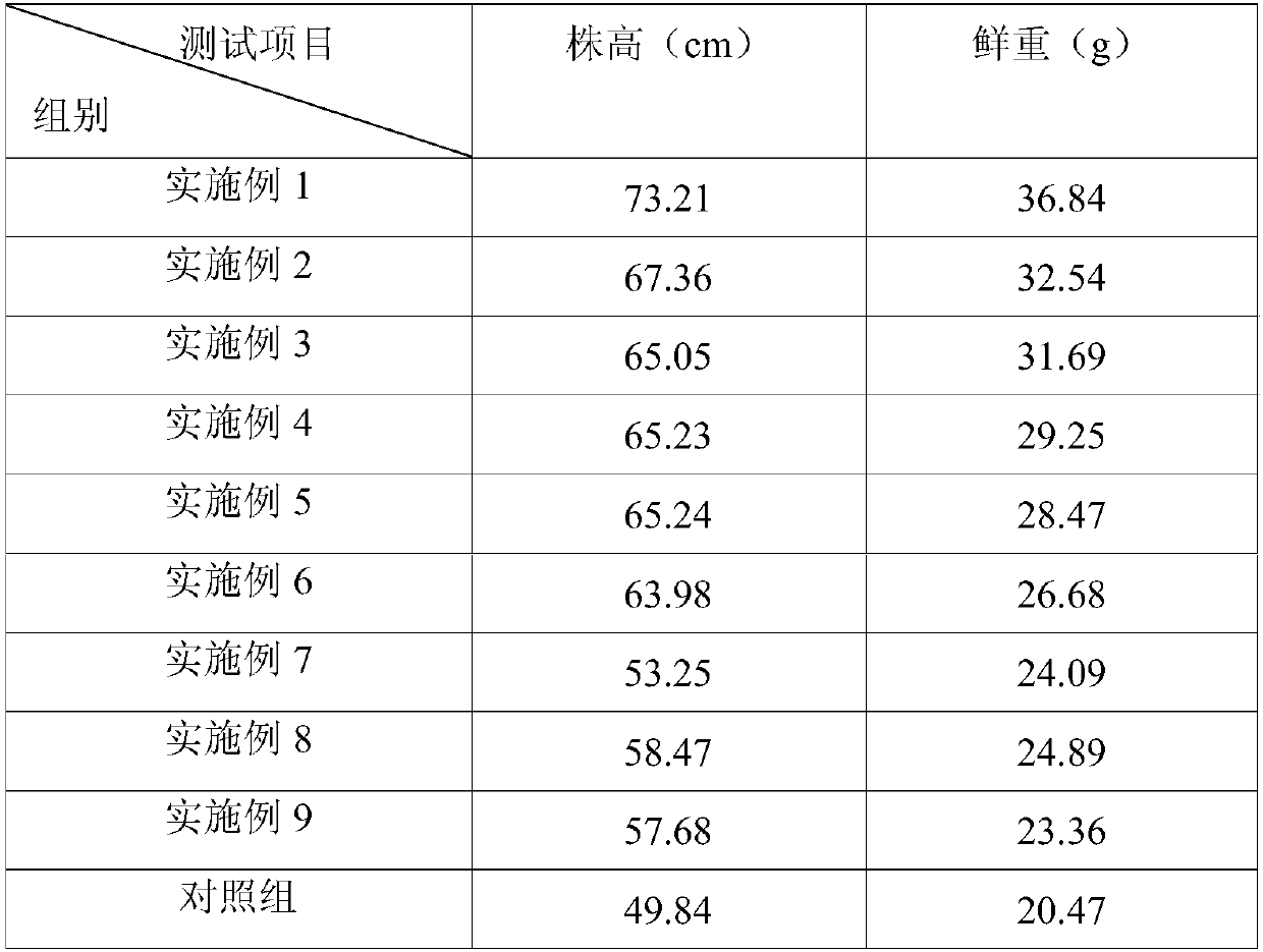 Soilless culture nutrient solution for accelerating growth of Japan Duckling celery, and preparation method thereof