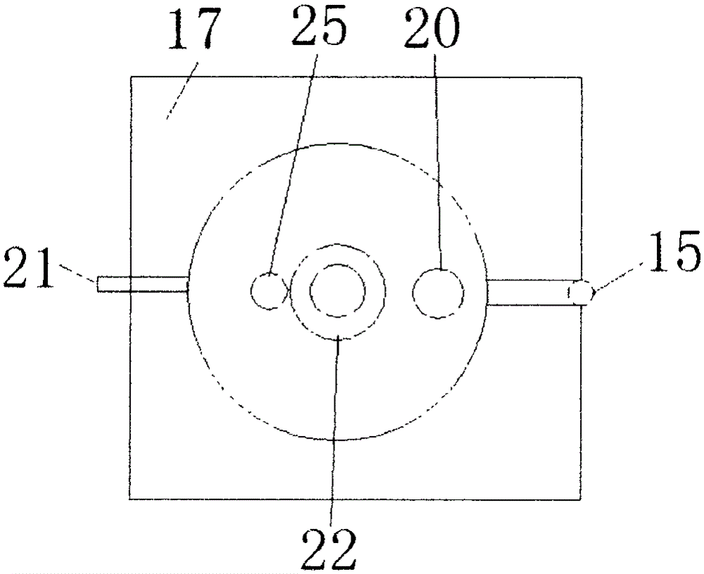 Small evaluation apparatus for activity of catalyst