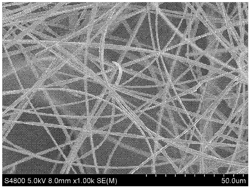 Flexible yttrium stable zirconium oxide ceramic fiber and preparation method thereof