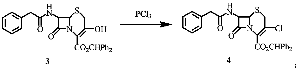 Synthetic method of 7-amino-3-chloro-3-cephem-4-carboxylic acid