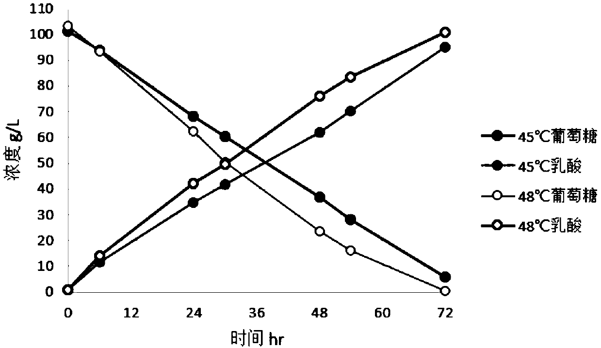 Pediococcus acidilactici strain high in stress resistance and capable of utilizing various carbon sources, and method for producing lactic acid through strain