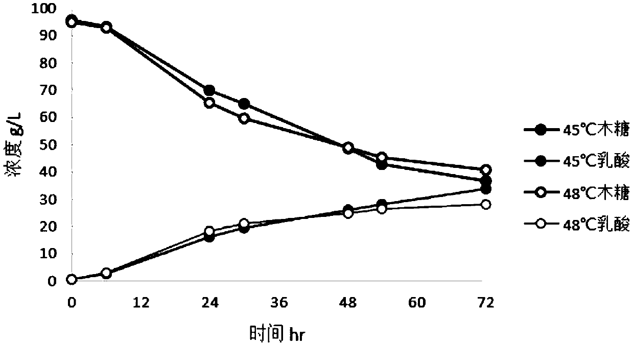 Pediococcus acidilactici strain high in stress resistance and capable of utilizing various carbon sources, and method for producing lactic acid through strain