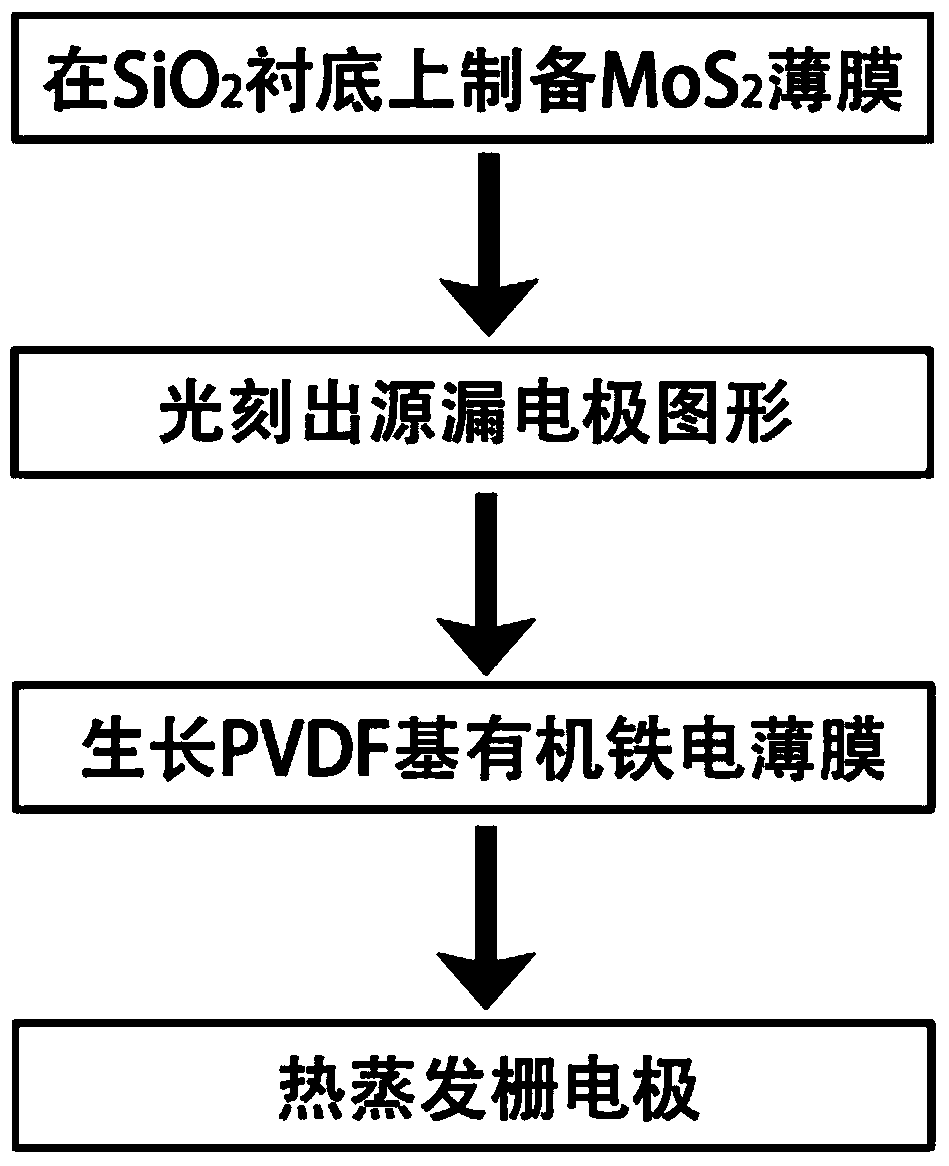 Production method of PVDF (polyvinylidene fluoride) ferroelectric field effect transistor based on molybdenum disulfide film