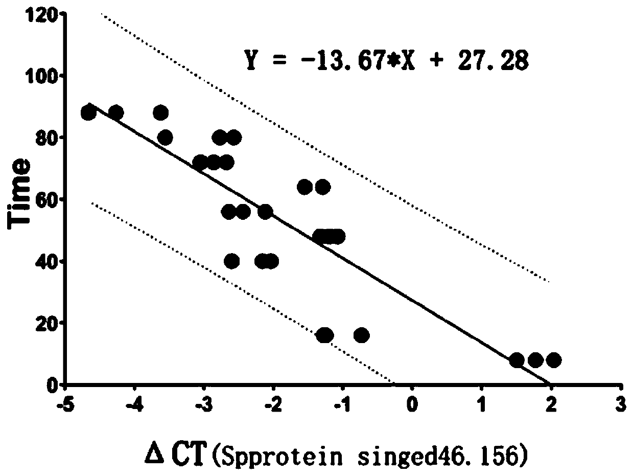 Molecular marker, primer composition and kit for calculating boettcherisca peregrina larva stage development time, and application