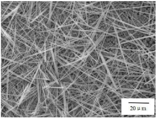 A method for preparing lead halide perovskite nanowires by recrystallization method