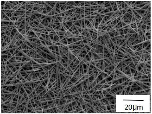 A method for preparing lead halide perovskite nanowires by recrystallization method