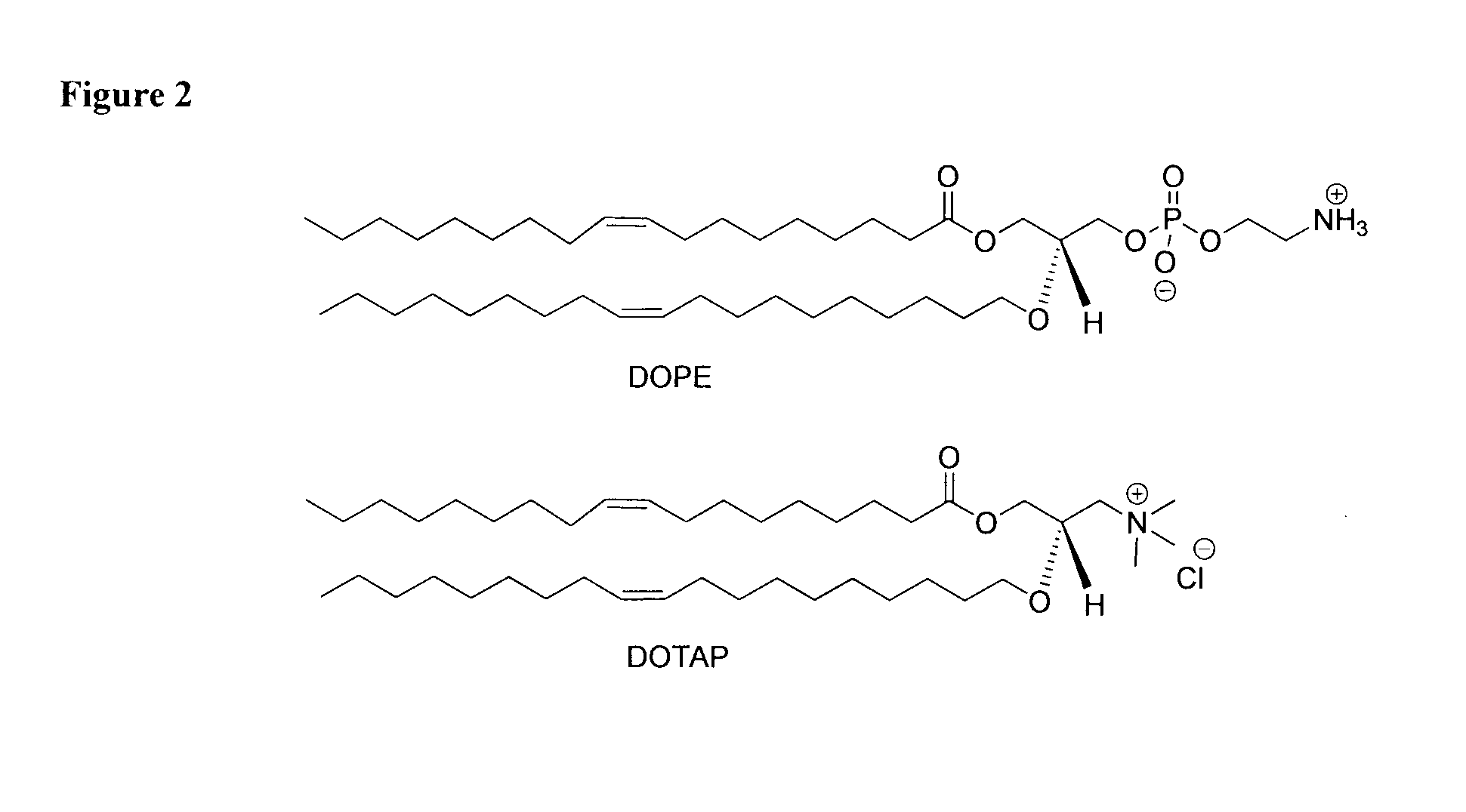 Amphiphilic macromolecules for nucleic acid delivery