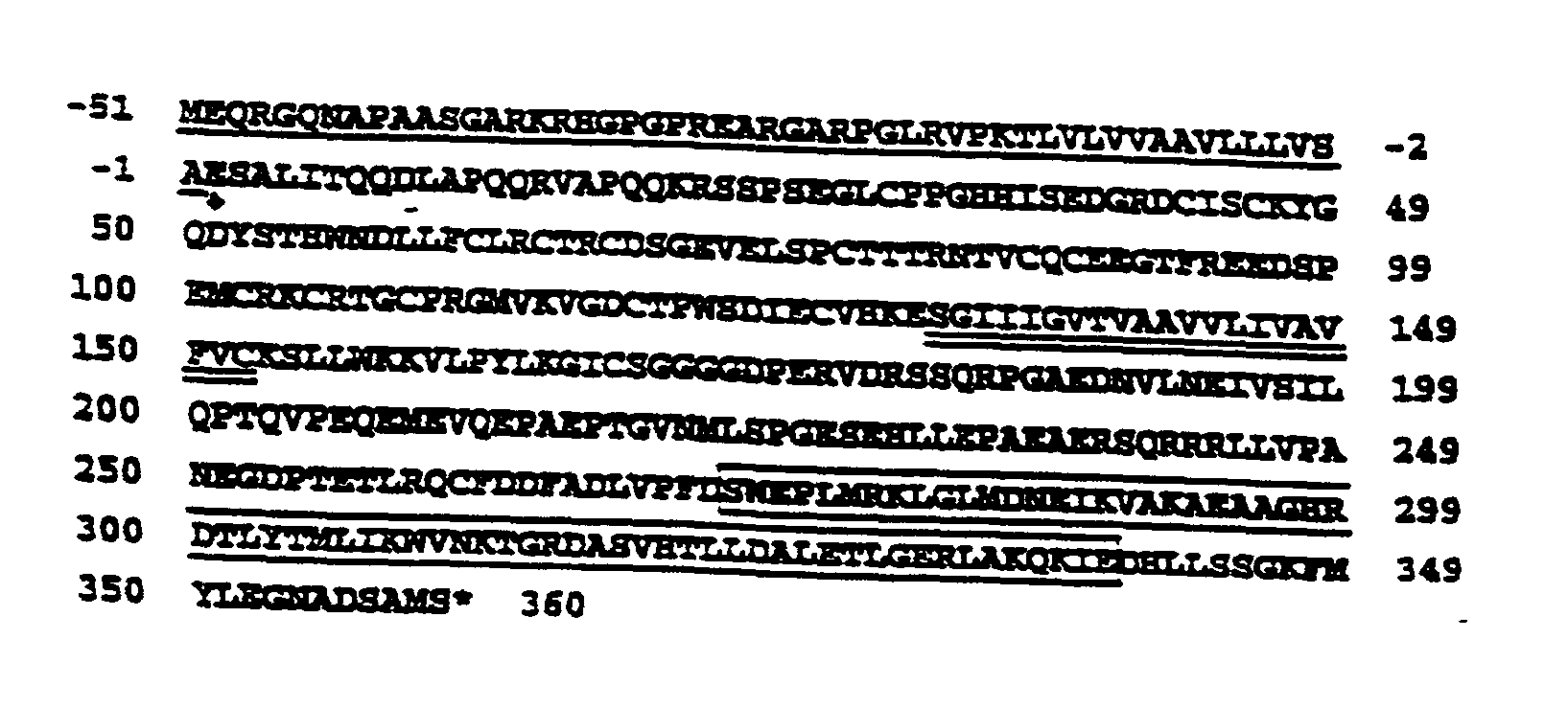 Trail receptors, nucleic acids encoding the same, and methods of use thereof