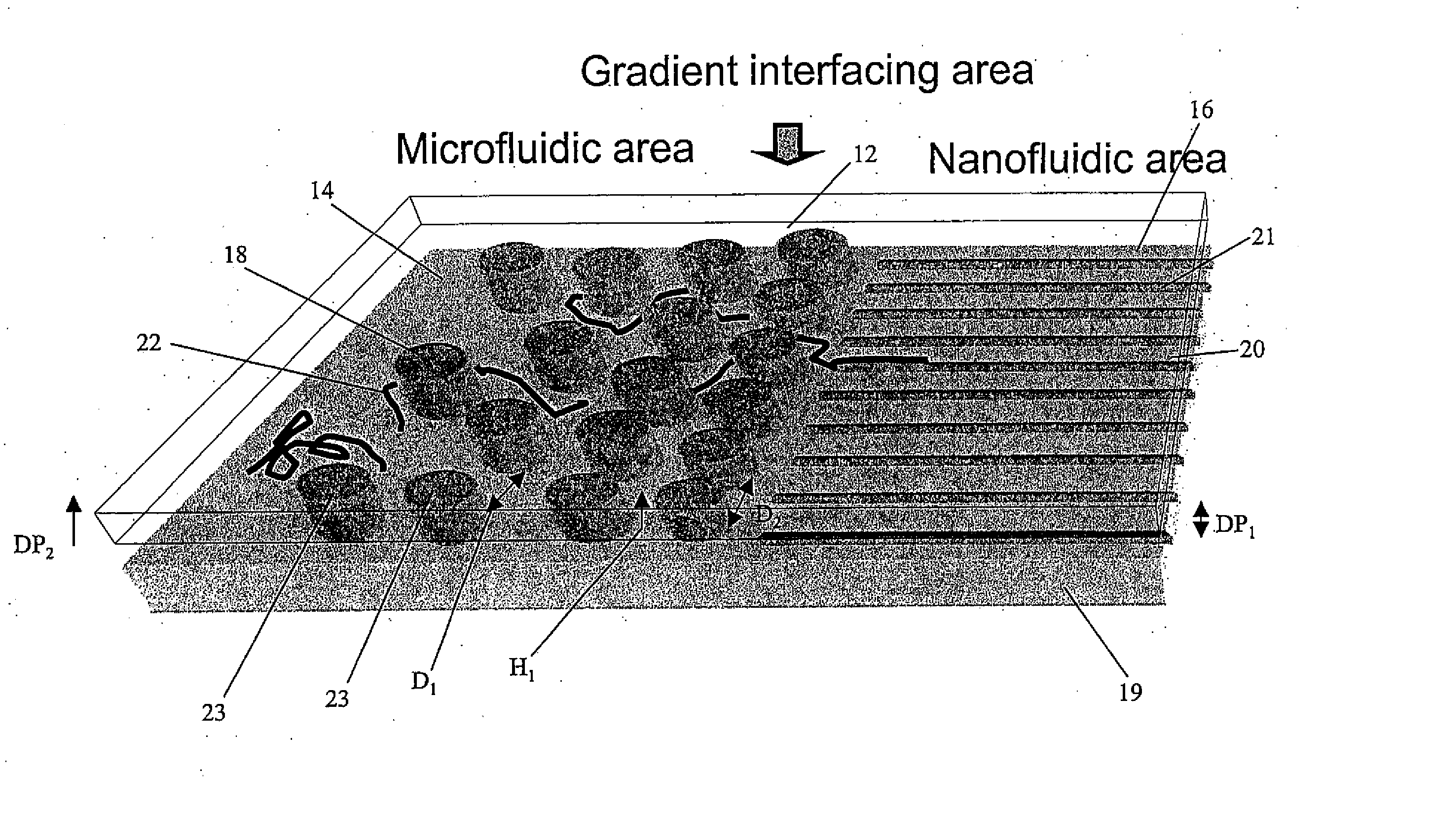 Gradient structures interfacing microfluidics and nanofluidics, methods for fabrication and uses thereof