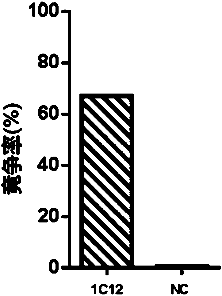 Anti-idiotypic antibody and applications thereof