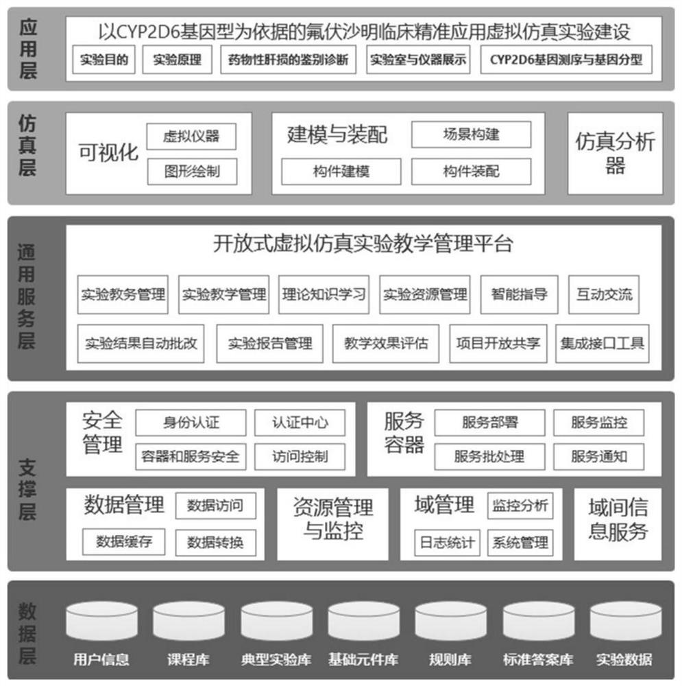 Fluvoxamine clinical precise application virtual simulation experiment system based on CYP2D6 genotype