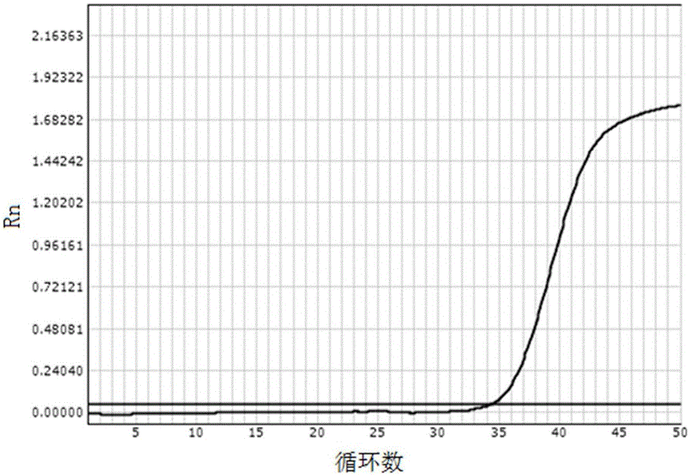 Lysis solution for extracting nucleic acid through magnetic bead method