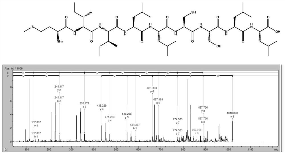 A functional peptide derived from pearls and its application