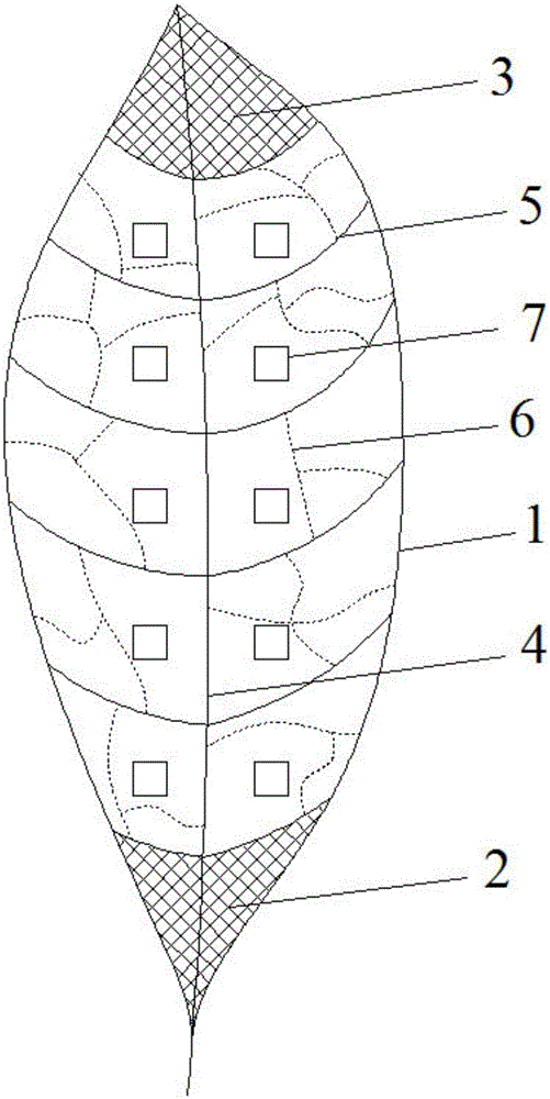 Measurement and representation method for softness of tobacco leaves