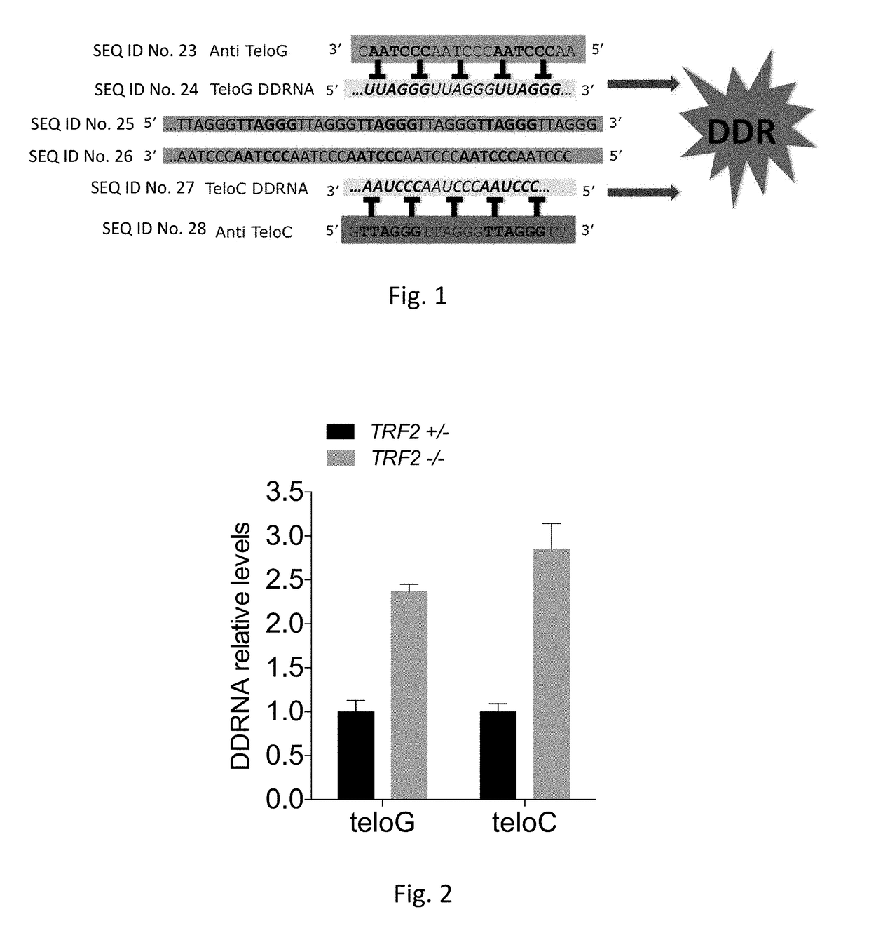 Therapeutic oligonucleotides