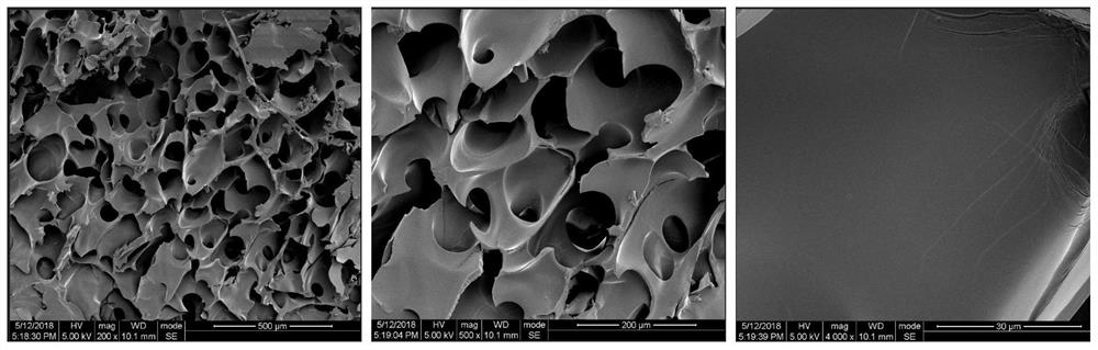 A kind of preparation method of phenolic hydroxyl self-polymerization hydrogel