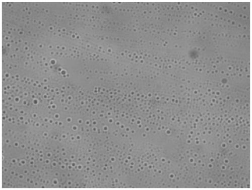 Nano oil-displacing agent for tertiary oil recovery and preparation method thereof