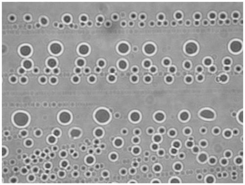 Nano oil-displacing agent for tertiary oil recovery and preparation method thereof