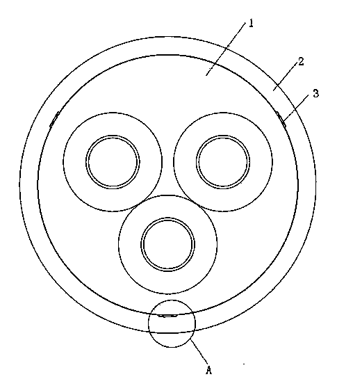 Assembly structure of insulator and external flange