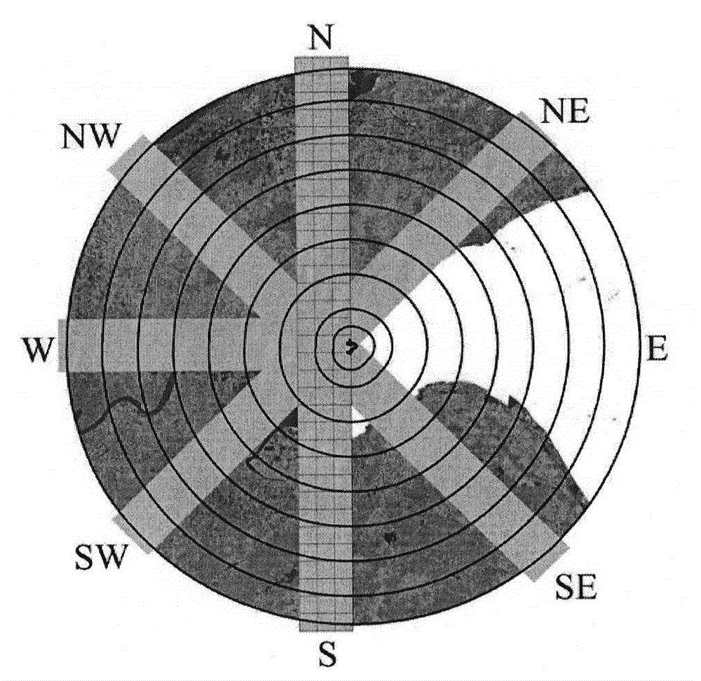 Interference analysis method of nuclear power plant landscape