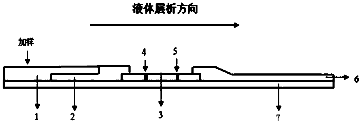 Time-resolved fluorescence immunochromatography test strip, kit and preparation method for quantitative detection of human h-fabp