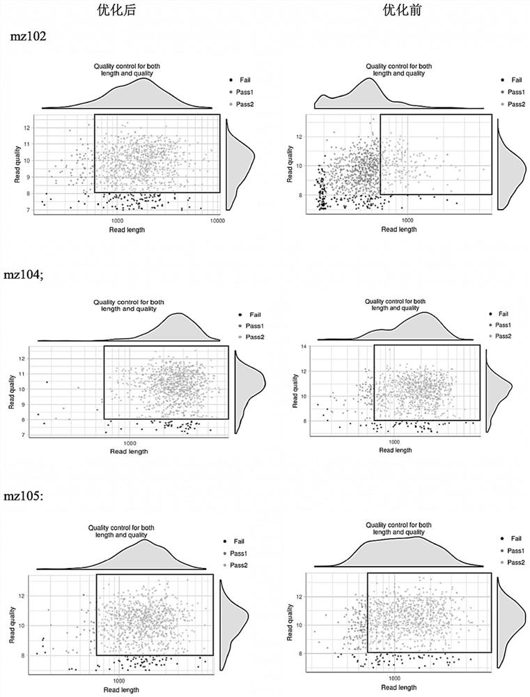 Metagenome library construction method and kit for nanopore sequencing platform