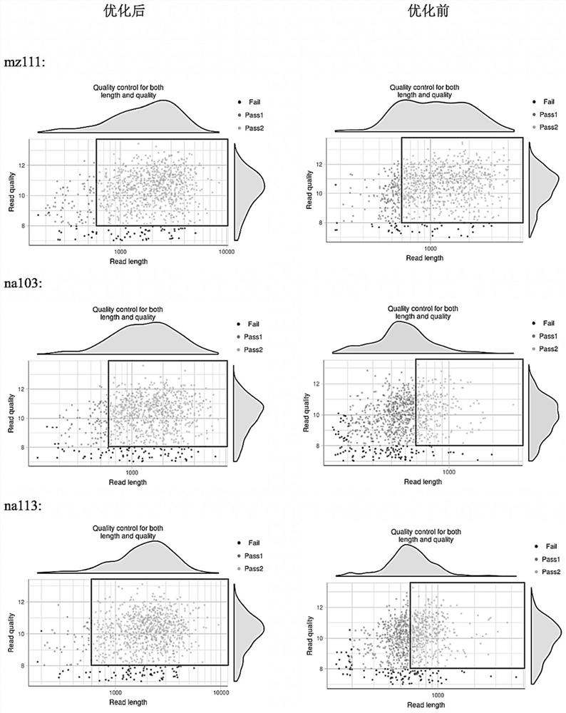 Metagenome library construction method and kit for nanopore sequencing platform