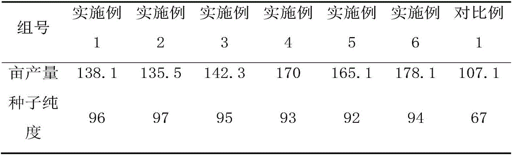 Cytoplasm sterile hybrid seed production method for cabbage type rape in Guanzhong region