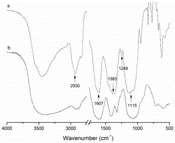 Novel carboxymethyl chitosan derivative, and preparation method and application thereof