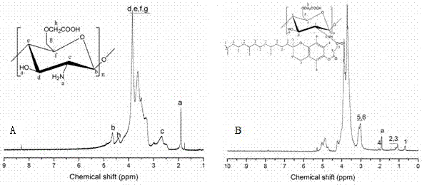 Novel carboxymethyl chitosan derivative, and preparation method and application thereof