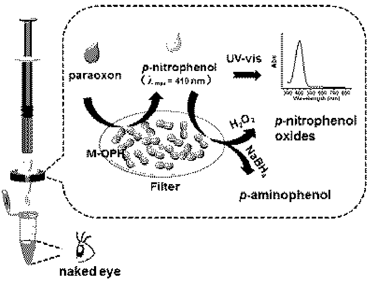 A device and application for rapid detection and degradation of organophosphorus pesticides