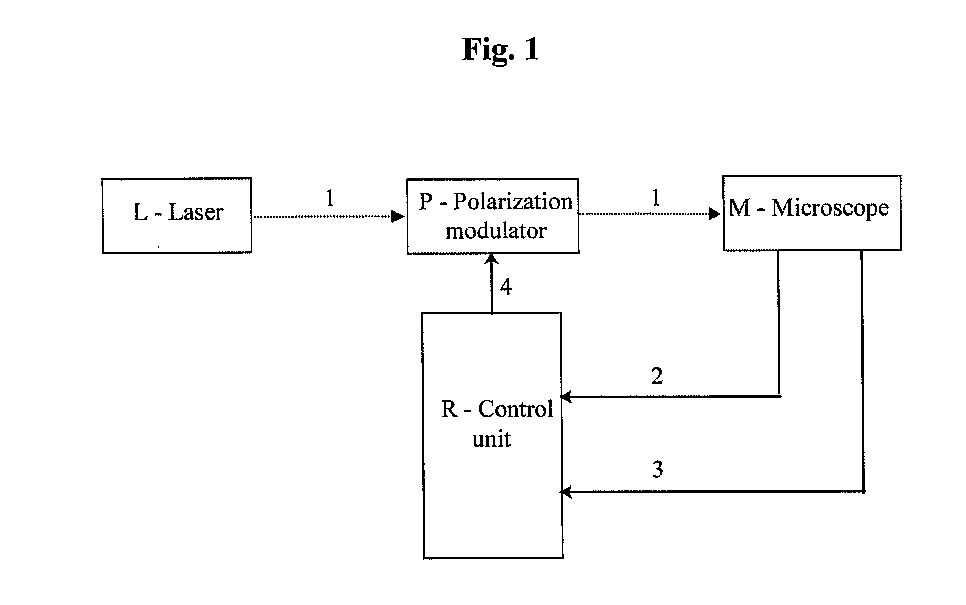 Method for obtaining structural and functional information on proteins, based on polarization fluorescence microscopy, and a device implementing said method
