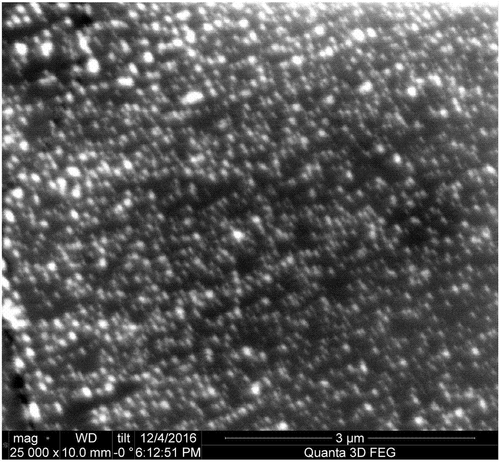 Stannous sulfide/gold nanoparticle compound and preparation method and application thereof