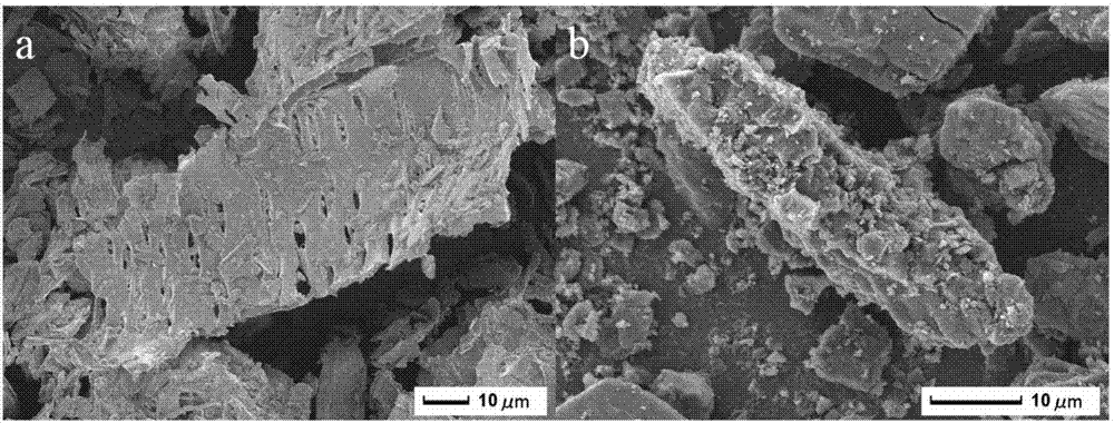 Preparation method of modified activated carbon from peanut shells and application thereof