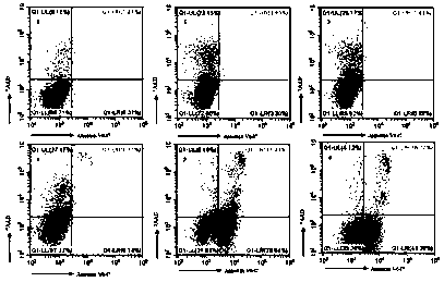 Composition as well as nano-micelle containing composition and application thereof