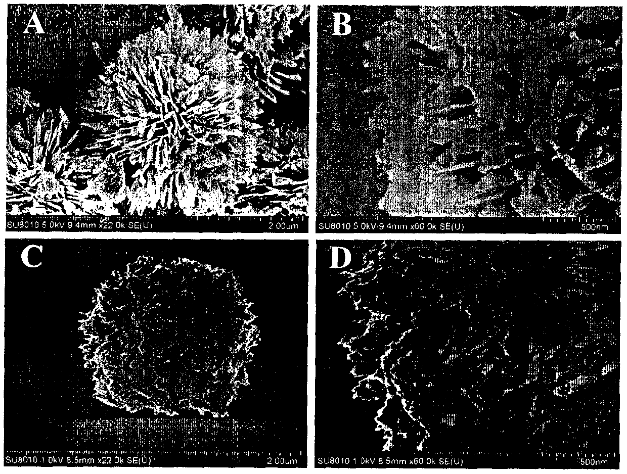 Novel biosensor for heavy metal mercury contaminant detection