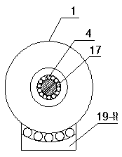 Organic waste low-temperature in-situ degradation reaction device and application