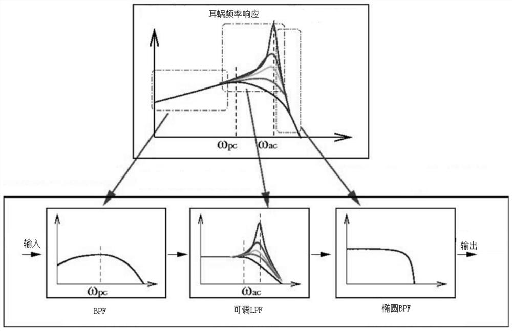 A high biological fidelity speech processing filter and speech recognition equipment