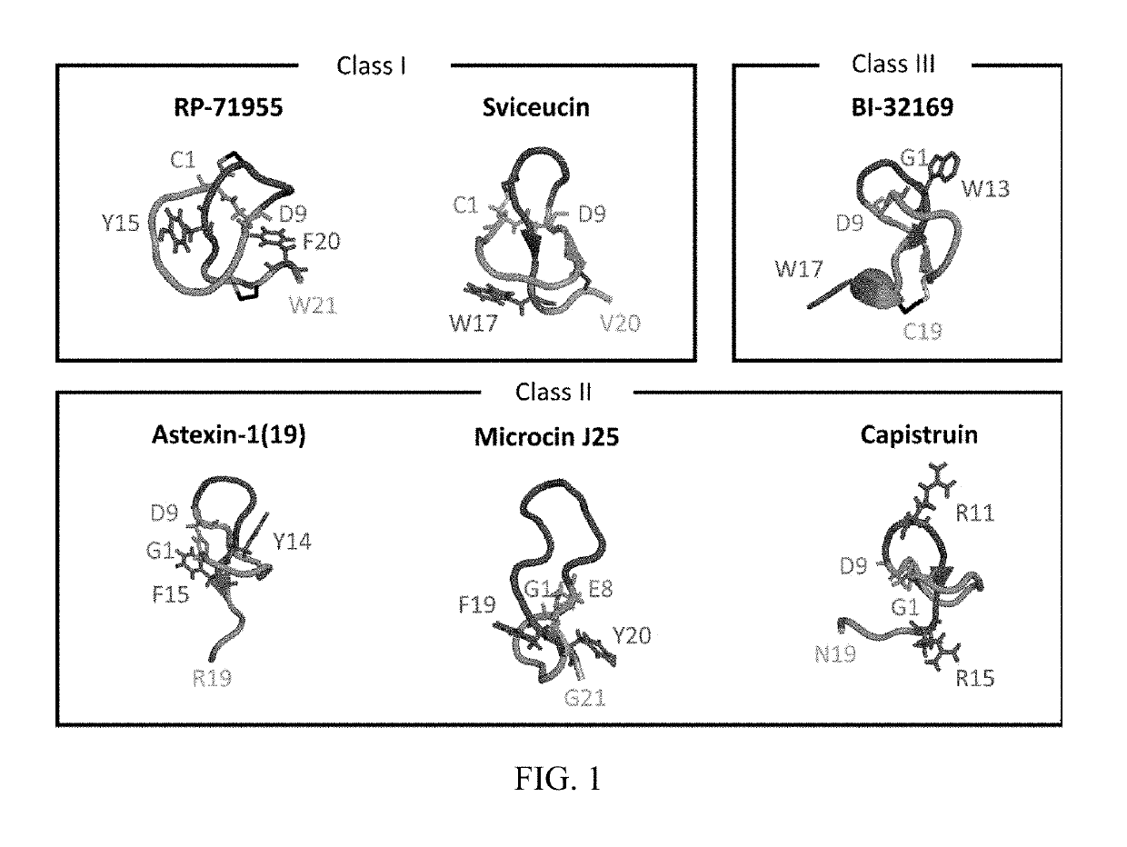 Materials and methods for screening topoisomers