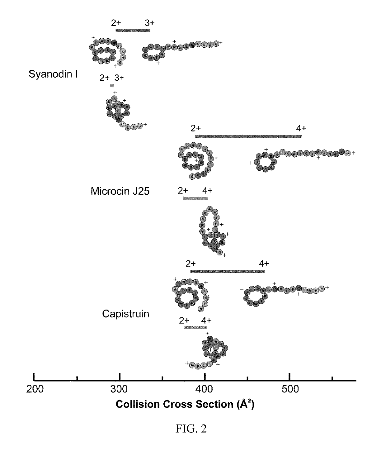 Materials and methods for screening topoisomers