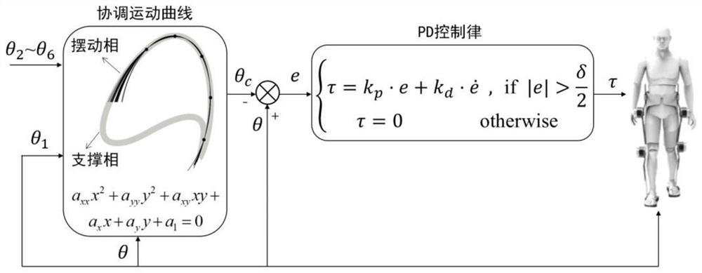 Coordinated gait control method for exoskeleton based on the coordination characteristics of human gait movement