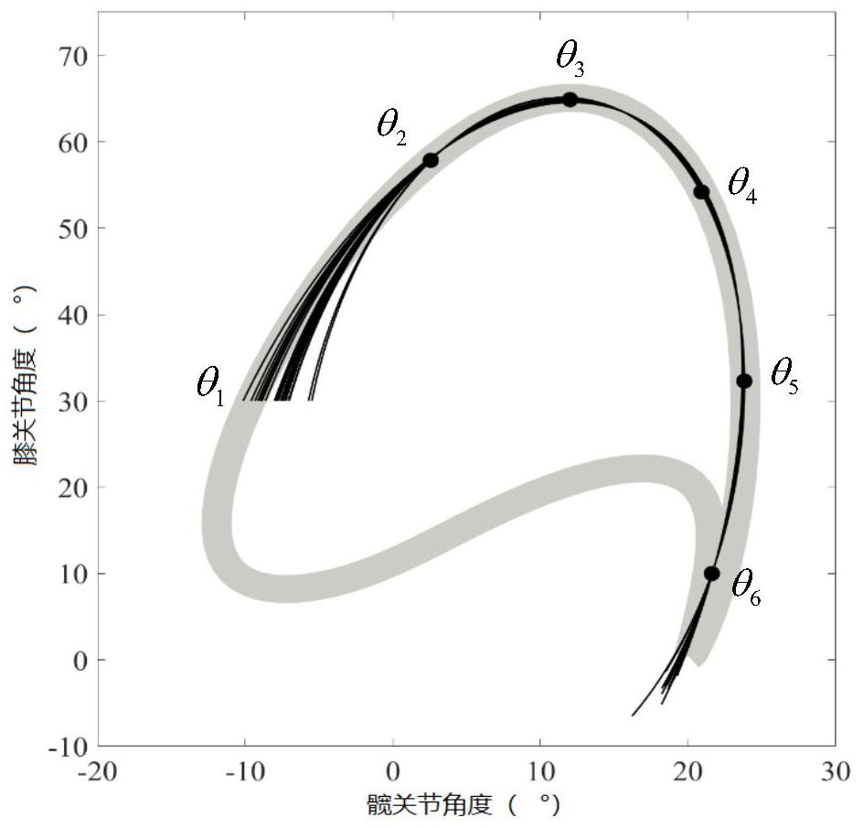 Coordinated gait control method for exoskeleton based on the coordination characteristics of human gait movement