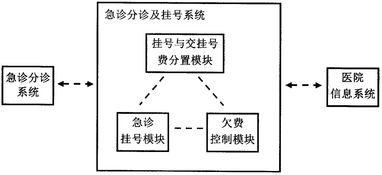 Emergency triage instant registration information processing system