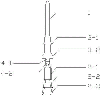Irregular plug terminal for automobile connector